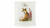 RWC WNT3996-XW Банка для хранения чая Royal Worcester Забавная фауна Лиса 10*14,5см RWC WNT3996-XW Банка для хранения чая Royal Worcester Забавная фауна Лиса 10*14,5см