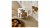 RWC MMSR5629-XT-1 Кружка Royal Worcester "Забавная фауна Теленок Бесси и тюльпаны" 310мл RWC MMSR5629-XT-1 Кружка Royal Worcester "Забавная фауна Теленок Бесси и тюльпаны" 310мл
