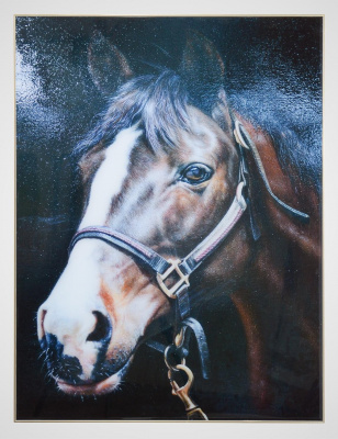 Y8257-6 Панно на стену 80*60см, декор "Dark Horse" 