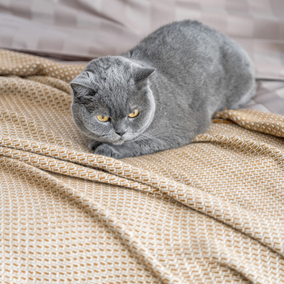 Покрывало Hygge 140*190см, 3291 Горчица