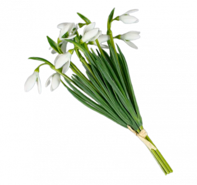 90990 Цветок искусственный 30см, AltFlowers, декор "Подснежники, букет", силикон