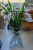 90990 Цветок искусственный 30см, AltFlowers, декор "Подснежники, букет", силикон 90990 Цветок искусственный 30см, AltFlowers, декор "Подснежники, букет", силикон