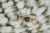 Пл-Мх8-220х240 Плед Мех № 8 220х240cм Sofi De Marko Пл-Мх8-220х240 Плед Мех № 8 220х240cм Sofi De Marko