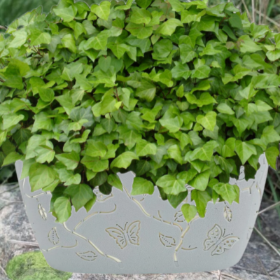 LF100812048 Цветочный горшок: набор Butterflies  4л,7,3л, овальный, песочно-белый, PLASTIC REPUBLIC