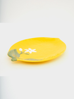 EL-R3029/FCIT Блюдо 30*22см, Рorcelain, декор Лимон, Fleurs et Citrons