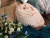 945/0043064 Плед 200*220см La Prima, серия Мех микрофибра страйп, Soft, цвет 1860 Нежный кизил 945/0043064 Плед 200*220см La Prima, серия Мех микрофибра страйп, Soft, цвет 1860 Нежный кизил