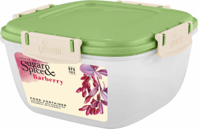 SE224210050 Контейнер для продуктов Sugar&Spice Barberry герметичный 0,7л квадратный фисташка