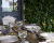 Тарелка суповая 23*5см COSTA NOVA, серия White TP231-00201Z Тарелка суповая 23*5см COSTA NOVA, серия White TP231-00201Z